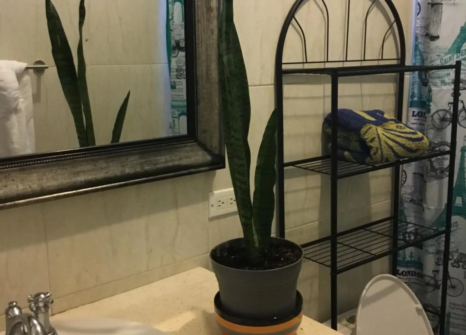Abigail'S Spectacular 2 Bedrooms-Entire Apartment Wesley Will